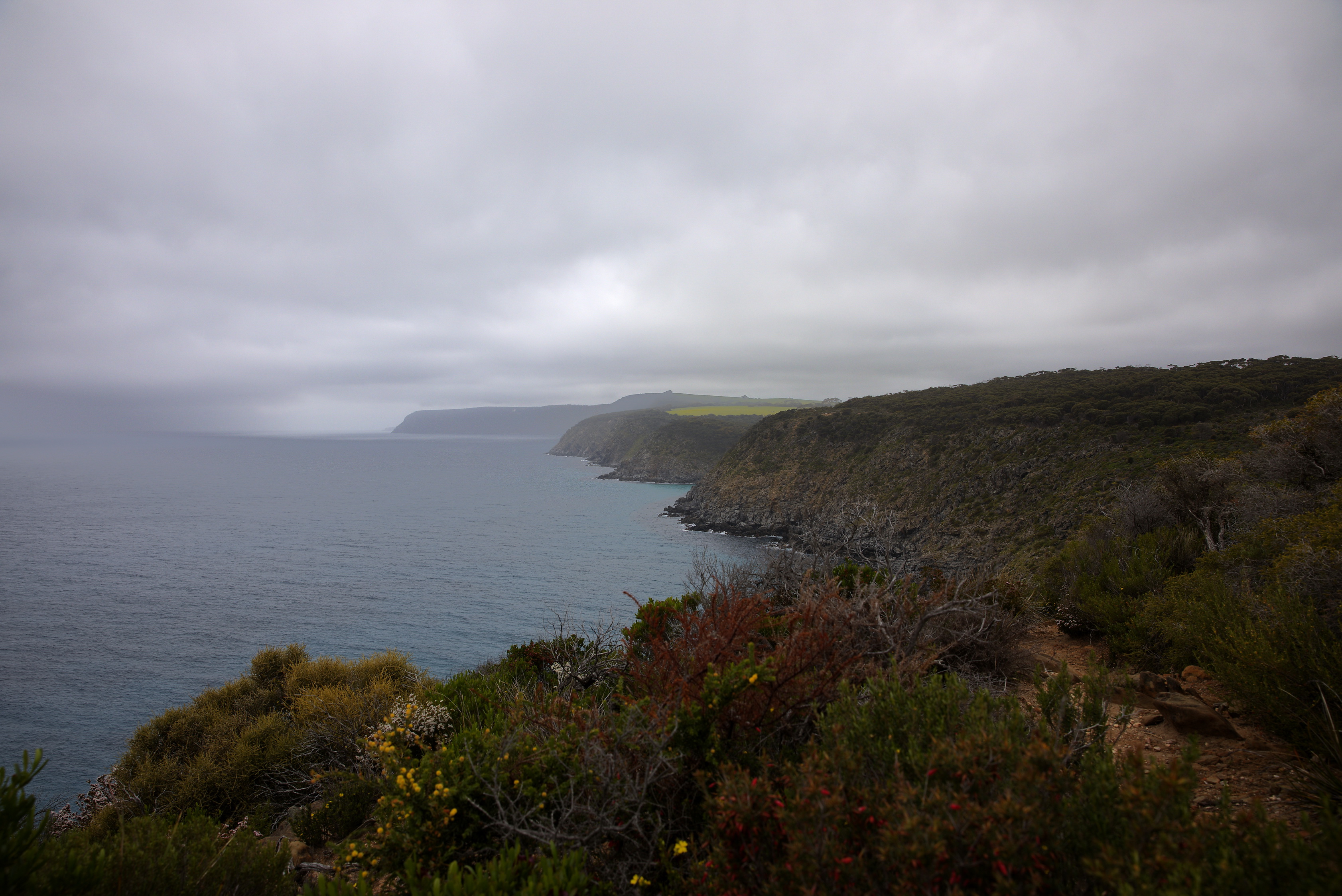 2019 10 02 11 16 13 Canon EOS 5D Mark IV 0012